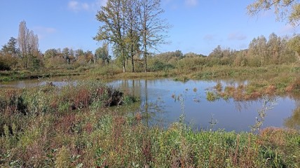 Wandeling "De Bollaak bij Lier"