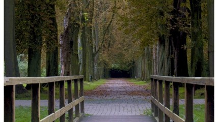 Vrijbroekpark en Eglegemvijver